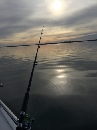 Perfect Fishing Conditions.jpg