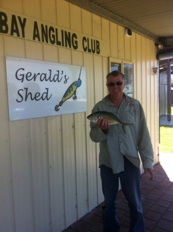 Andrew's 2nd placed Trevally